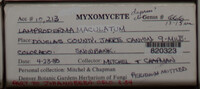 Image Associated With the Occurence